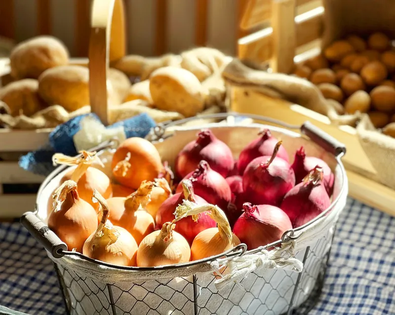 Drahtkorb mit gelben und roten Zwiebeln, dahinter Holzkisten mit Kartoffeln
